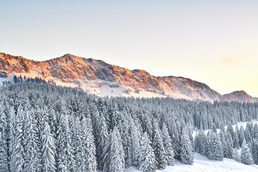 Schneelandschaft Berge Bäume