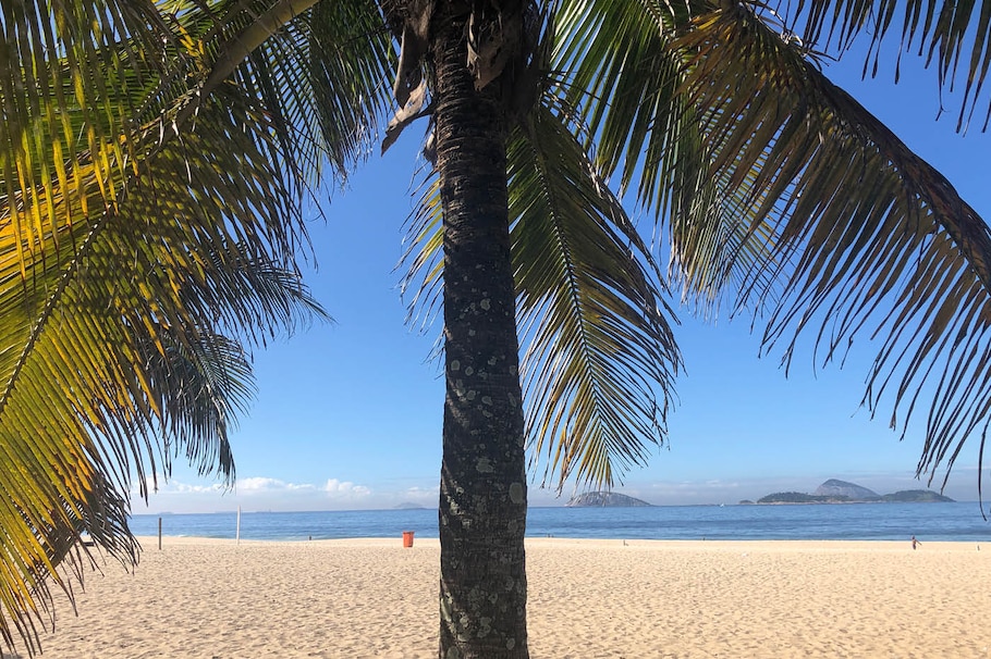 Palme auf einem Strand mit Blick zum Meer