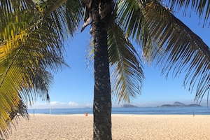 Palme auf einem Strand mit Blick zum Meer