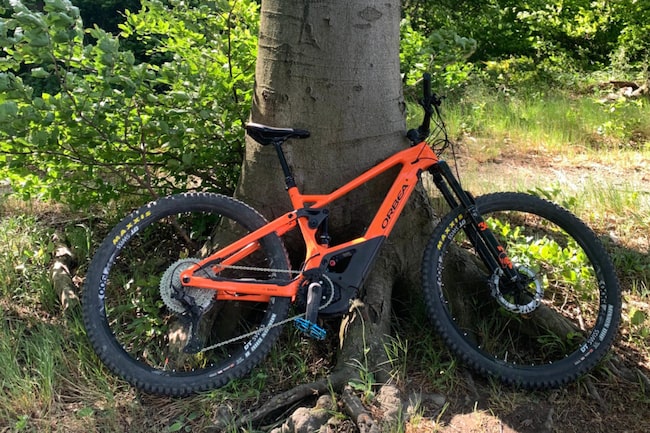Oranges E-Bike lehnt an einem Baum im Wald