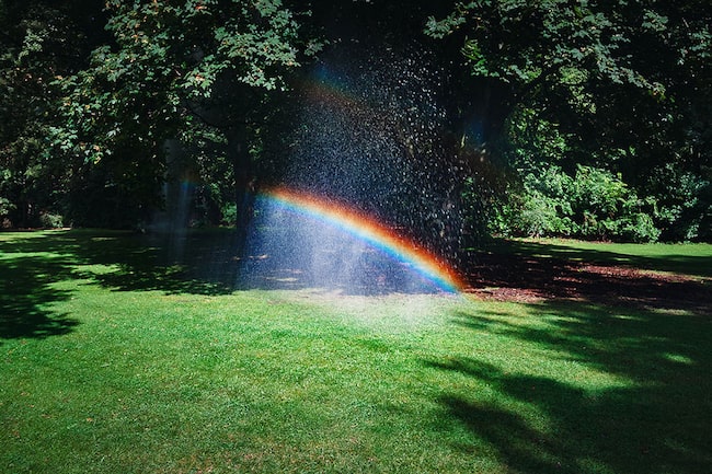 Wunder Regenbogen carpe diem Sprüche