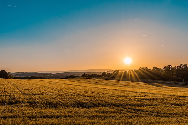 carpe diem Sprüche morgen sonne