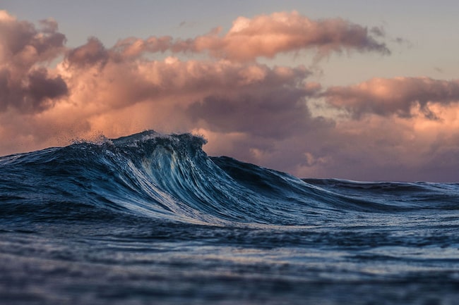 carpe diem Sprüche Wasser Welle