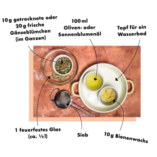 Gänseblümchensalbe DIY>