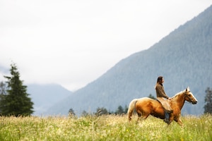 Reiterin auf einem Pferd in der Natur