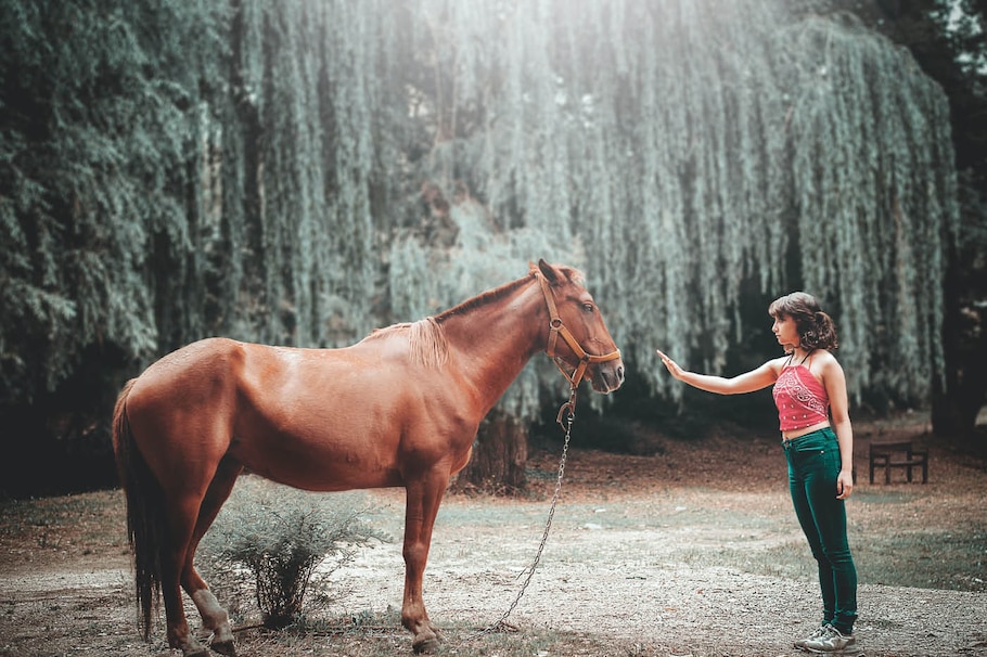 Eine Frau mit einem Pferd im Wald. Workshops mit Pferden zur Entspannung