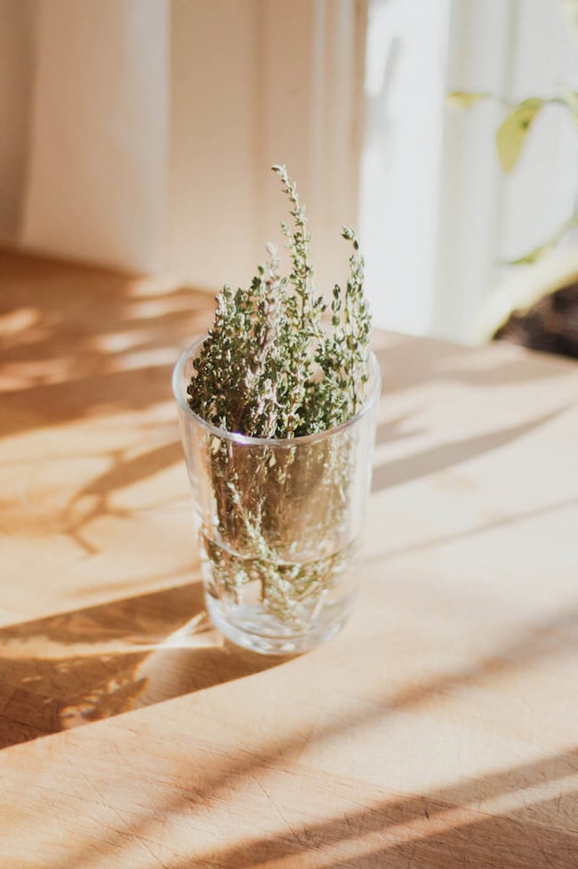 Quendel getrocknet in einem Glas