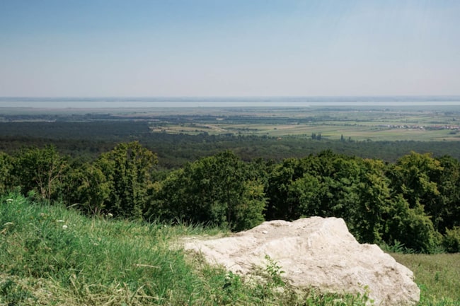 Wandern in Eisenstadt: Pflockgrabenberg Aussicht