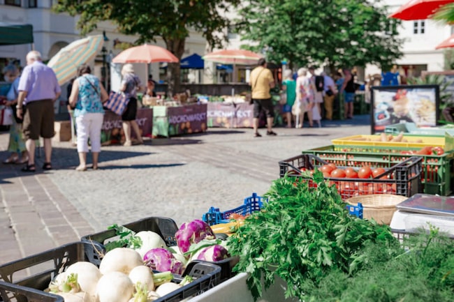 Eisenstadt Wochenmarkt