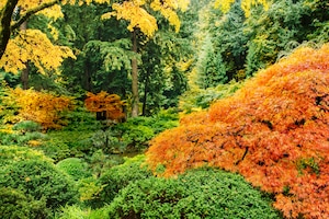 Herbst im Garten