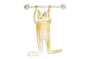 Bekommen Katzen einen Muskelkater