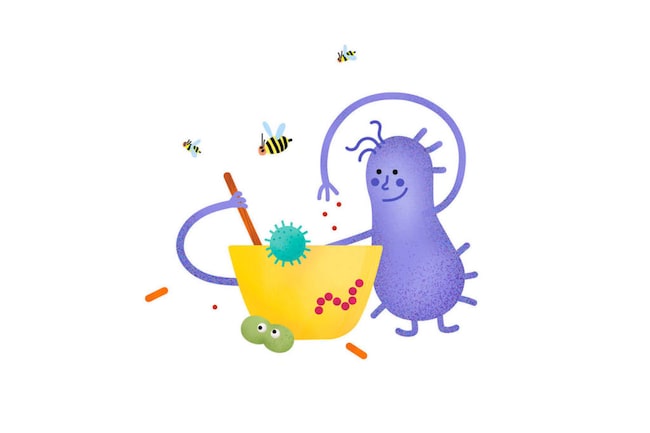 Das Mikrobiom und Honig