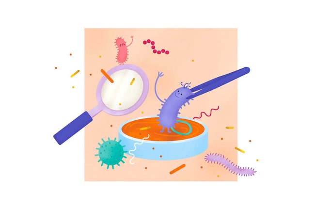 Mikrobiom unter der Lupe