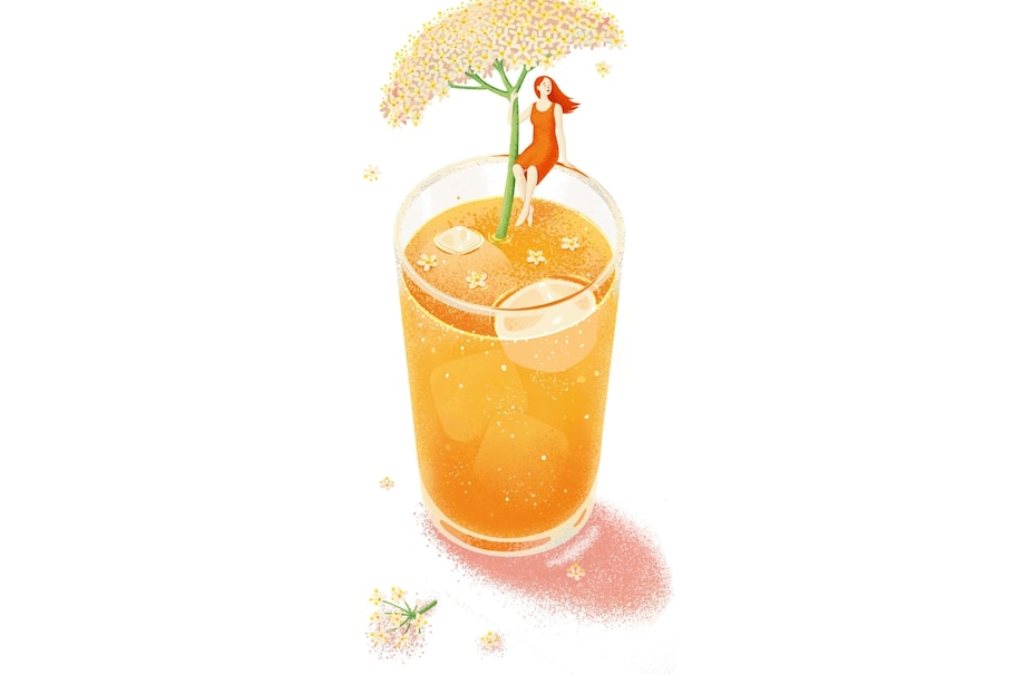 Sommergetränk Shrub Illustration