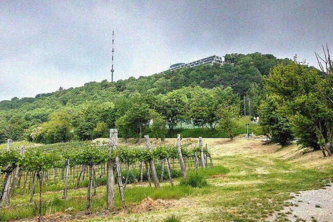 Kraftplatz Kahlenberg