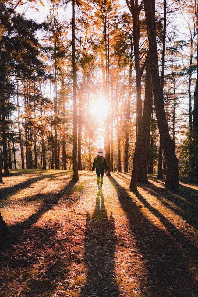 Frau spaziert im Herbst im Sonnenlicht