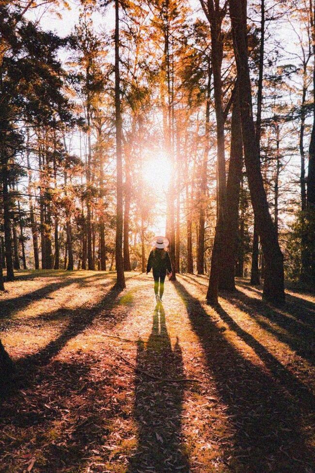 Frau spaziert im Herbst im Sonnenlicht