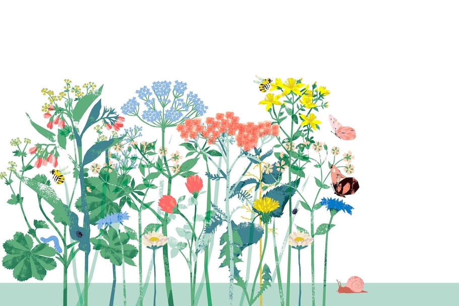 Illustration einer Wiese mit blühenden Blumen