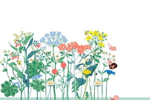 Illustration einer Wiese mit blühenden Blumen