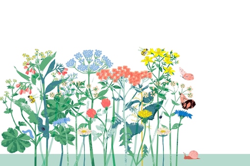 Illustration einer Wiese mit blühenden Blumen