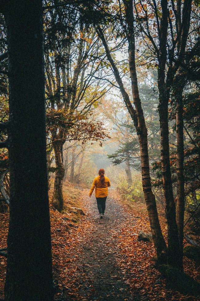 Frau joggt im Wald im Herbst