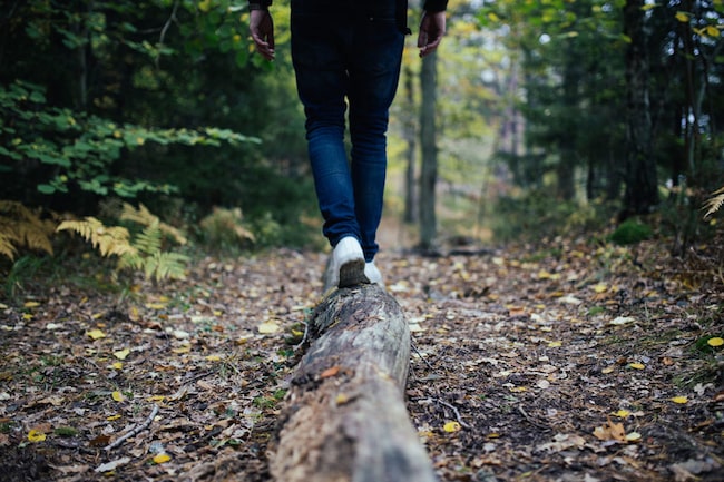 Personen balanciert über Baumstamm im Herbstwald