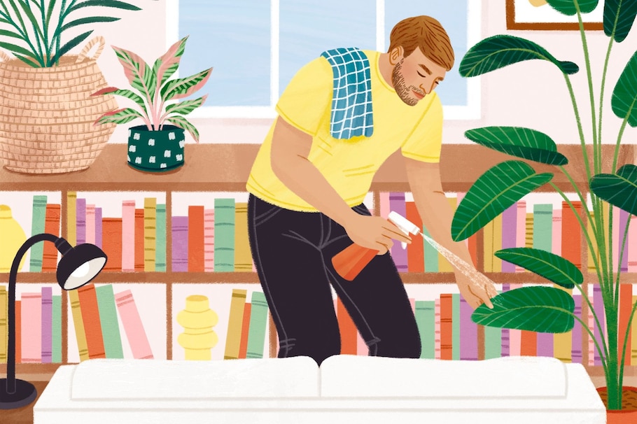 Pflegeleichte Zimmerpflanzen, Illustration, Mann, Bücher, Wohnzimmer, besprüht Palme