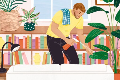 Pflegeleichte Zimmerpflanzen, Illustration, Mann, Bücher, Wohnzimmer, besprüht Palme