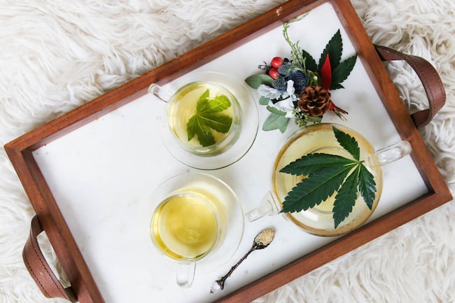 Wie Hanf als Superfood wirkt: So gesund ist Cannabis im Esse