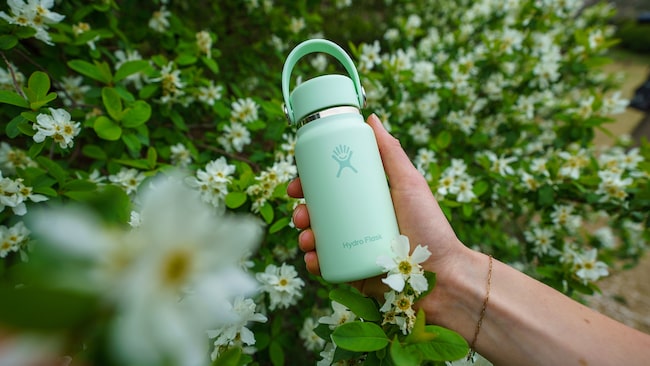 Eine Hand hält die mintgrüne Hydro Flask Micro Bottle zwischen blühenden Sträuchern – Symbol für Natürlichkeit, Achtsamkeit und bewussten Genuss.