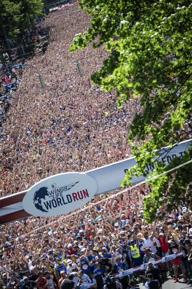 Wings For Life Worldrun