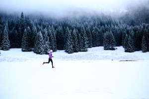 Wald, Schnee, Landschaft, Läuferin, carpe diem