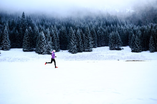 Wald, Schnee, Landschaft, Läuferin, carpe diem