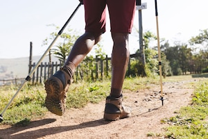 Wanderweg, Sommer, Mann, Unterschenkel, kurze Hose, Wanderstöcke