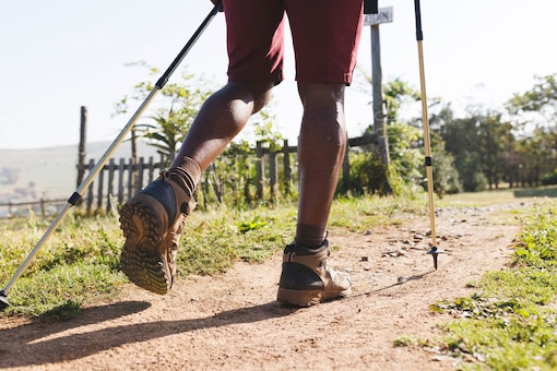 Wanderweg, Sommer, Mann, Unterschenkel, kurze Hose, Wanderstöcke
