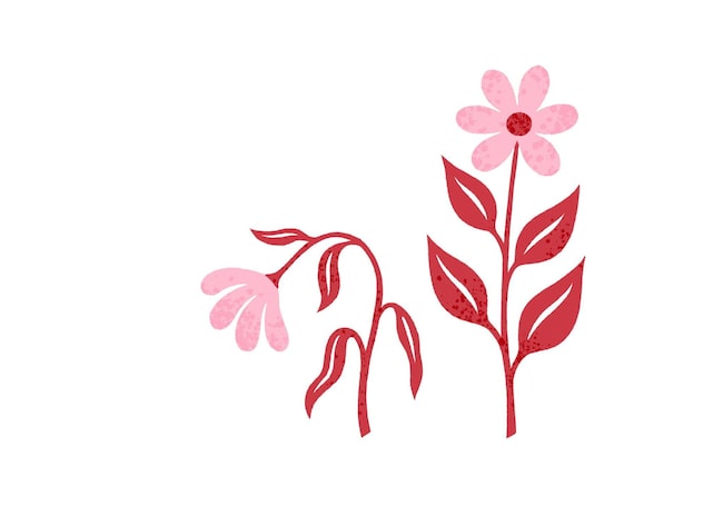 Illustration, Blume blüht, verwelckte Blume, emotionale Stabilität, souverän, Souveränität