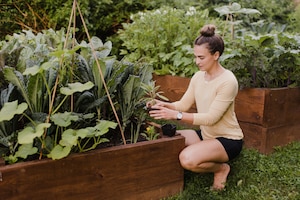 Gemüsebeete, frisches Gemüse, Frau in der Hocke, richtige Körperhaltung bei Gartenarbeiten