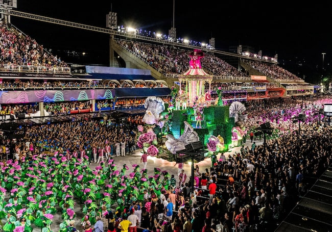 Samba-Umzug, Karneval, Rio de Janero, Festivalwagen, Kostüme, Menschen