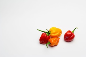 Chilis, Peperoni, gelb, rot, orange, weißer Hintergrund