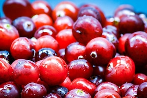 Cranberry