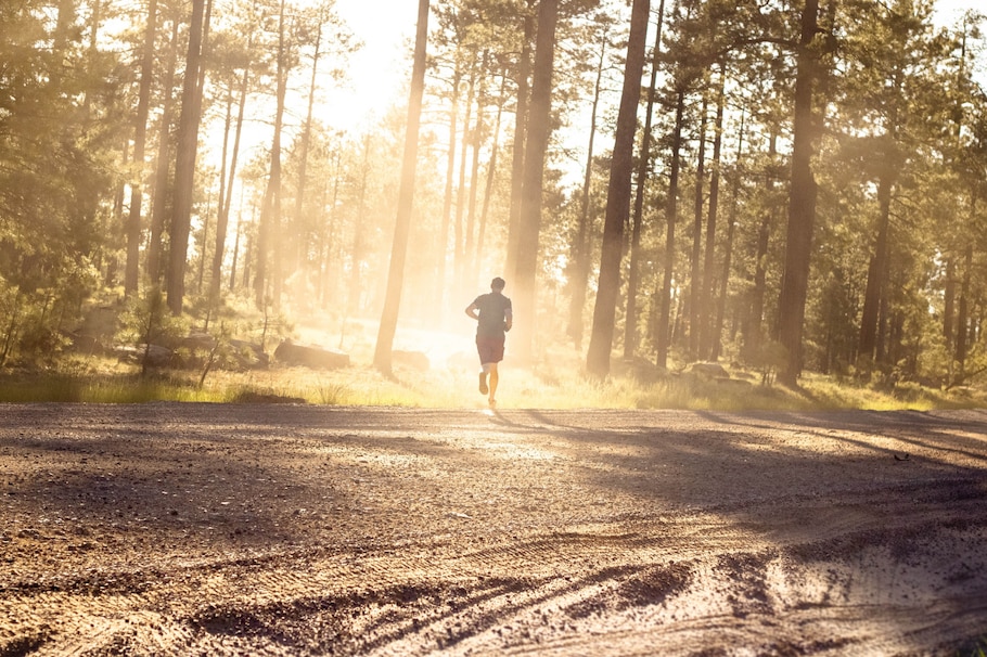 9 geheime Waldtipps für dein Outdoor-Workout