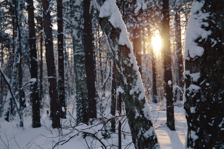 Vom Winterblues zum Stimmungshoch mit dem richtigen Licht