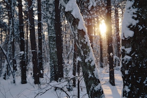 Vom Winterblues zum Stimmungshoch mit dem richtigen Licht