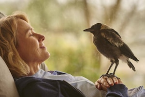 „Penguin Bloom“: Wie ein kleiner Vogel eine Familie rettet