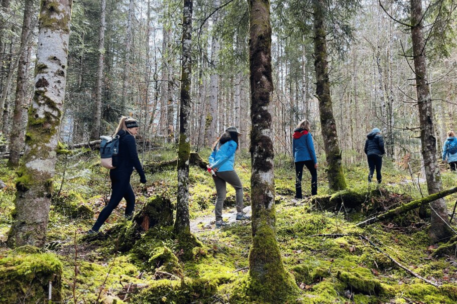 Frauen gehen durch Wald