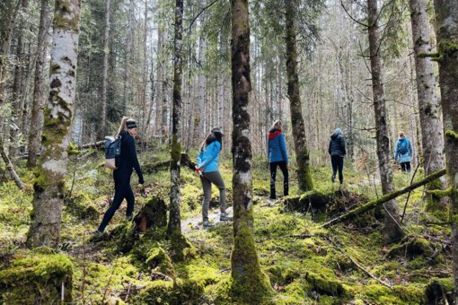 Frauen gehen durch Wald