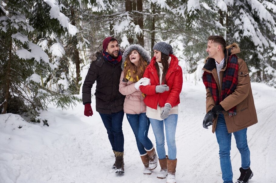 Freunde, Mann, Frau, Schnee, Spaziergang, Wald