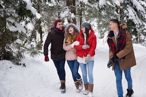 Freunde, Mann, Frau, Schnee, Spaziergang, Wald