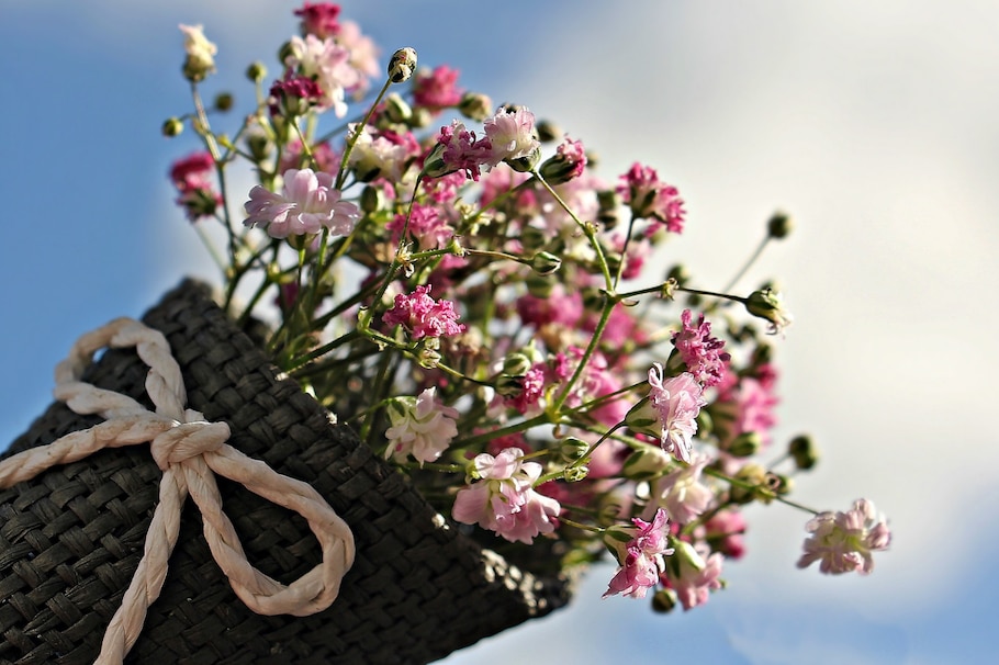 Blumen, Geschenk, Himmel