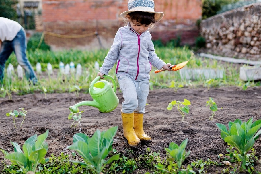 Mädchen, Garten, Gießkanne, Gummistiefel, Gartenarbeit, Gemüse